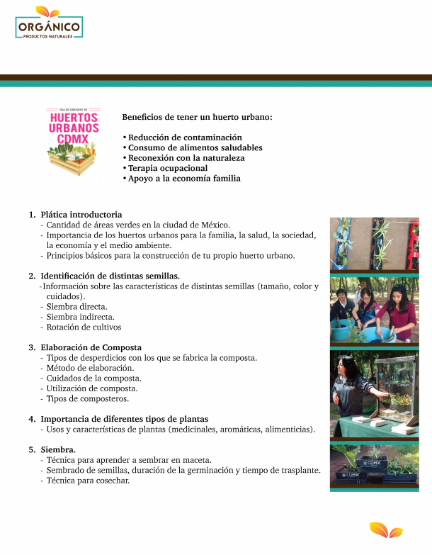 Temario del Taller de Huertos Urbanos